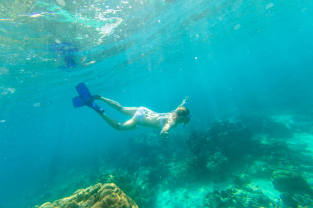 istock swimming deep in Surin Islands 1257784600