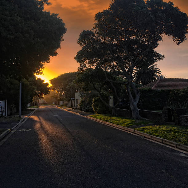 istock Sunset in suburban street 1257787550