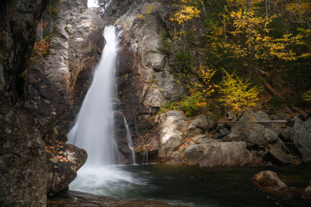 istock Waterfall in a forest during the autumn colour season 1257790981