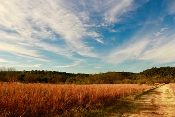 istock Landscape Shot of Trail 1257792326