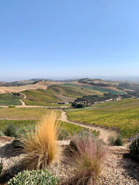 paso robles - san luis obispo county california hill valley foto e immagini stock