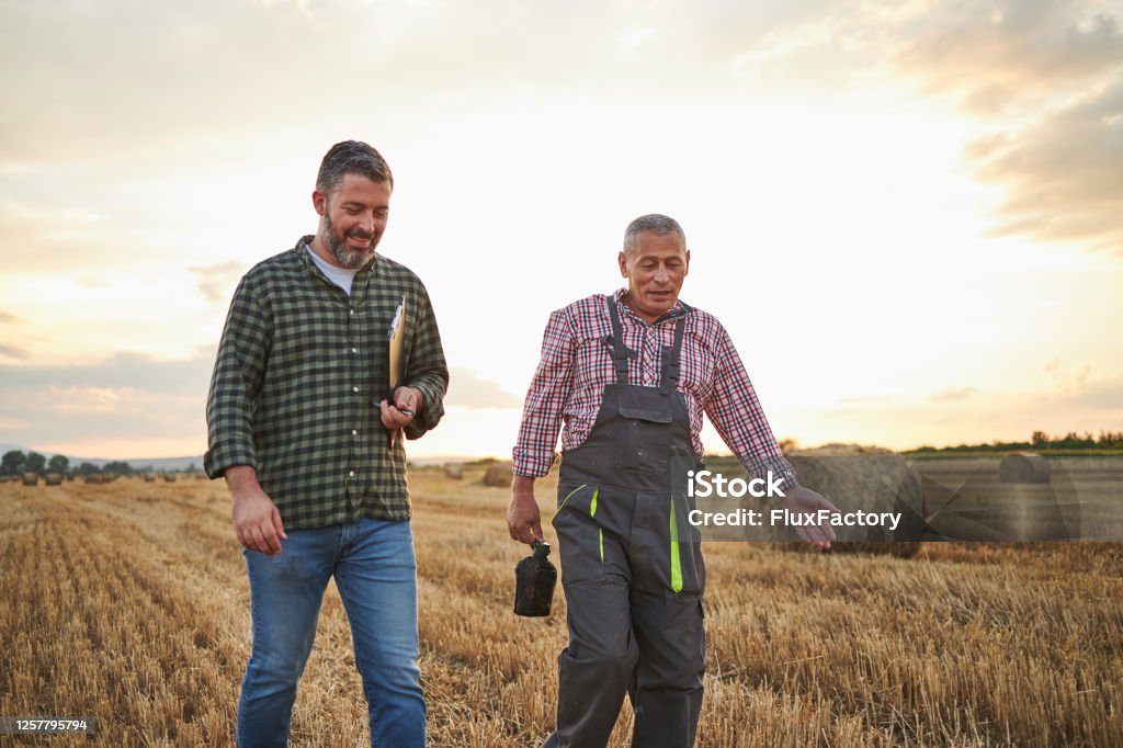After they checked a quality of hay contented father and son going home Proud mid adult hardworking farmer standing at the wheat field on his organic farm with tablet in his hand and having a discussion with a senior farmer Farmer Stock Photo