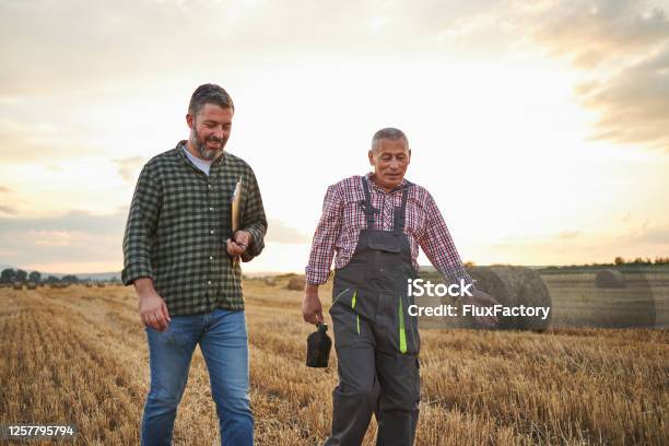 After They Checked A Quality Of Hay Contented Father And Son Going Home Stock Photo - Download Image Now
