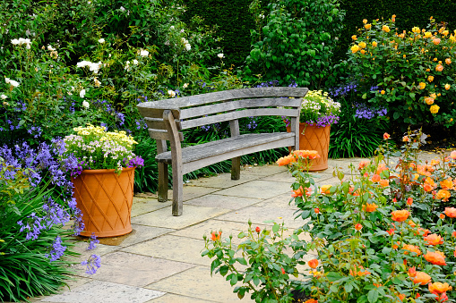 Richly planted summer patio with wooden bench and earthenware flower pots.