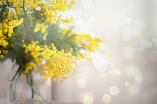 istock Spring background with beautiful flowers, copy space 1257795950