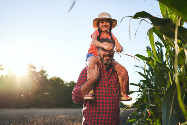istock Adorable single father carrying on his shoulders his daughter while exploring a corn field 1257796127