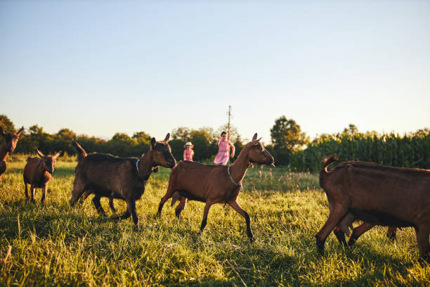 istock Beautiful adventure on a country side 1257796169