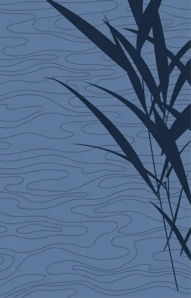 Vector illustration of Reeds by the water(Background)