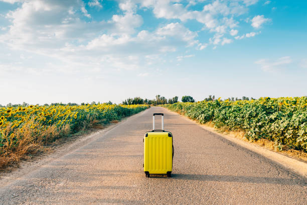yellow suitcase on a road with sunflowers. yellow suitcase on a road with sunflowers arrival departure board photos stock pictures, royalty-free photos & images