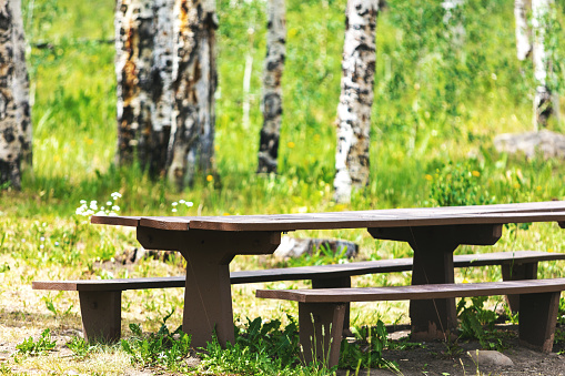In Western Colorado National Park empty picnic area with picnic table among green foliage and aspen trees During Pandemic (Shot with Canon 5DS 50.6mp photos professionally retouched - Lightroom / Photoshop - original size 5792 x 8688 downsampled as needed for clarity and select focus used for dramatic effect)