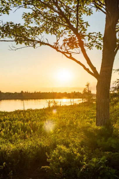 Ontario, Canada.