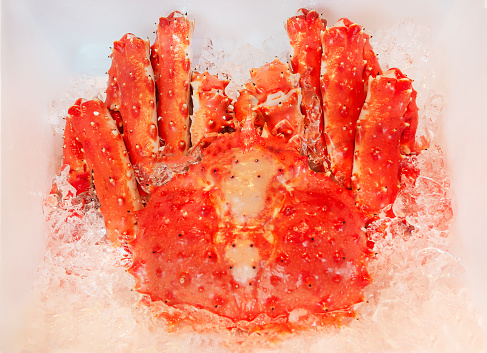 Japanese king crab is displayed in the ice bucket  for sale in Japan.