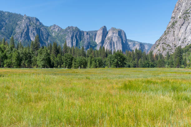 Yosemite National Park in early summer.