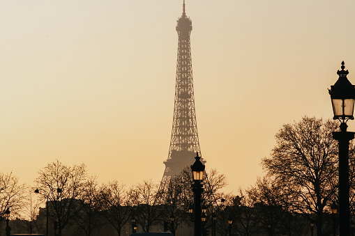 Beautiful Eiffel tower view through buildings and trees during a winter sunset in Paris