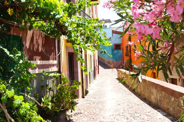 istock Bosa village in North sardinia 1257810764