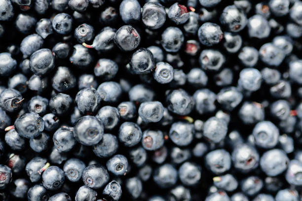 istock lots of fresh blueberries, texture background berries 1257810894