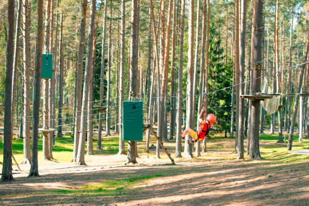 istock Little boy climbing rope trail. 1257811009