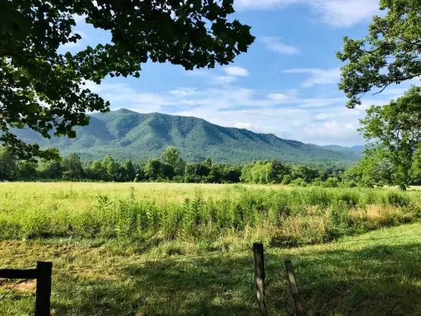 Cade’s Cove field and mountains