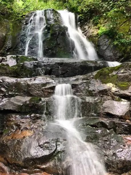 Waterfall with beautiful stones and greenery