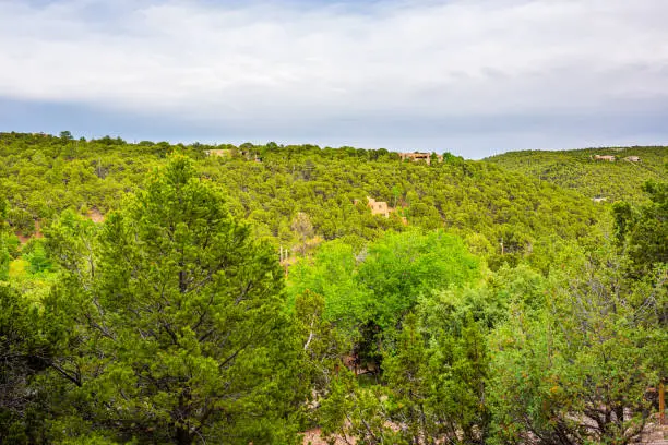 Sunset evening landscape on cloudy overcast day in Santa Fe, New Mexico mountains in community neighborhood with green plants pinon pine trees and adobe traditional houses