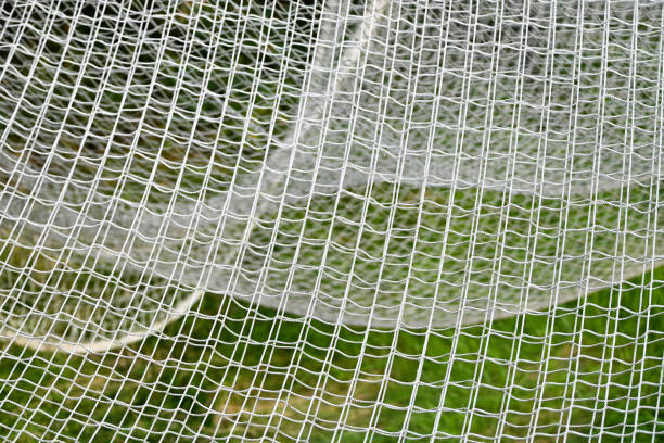 Net from a baseball cage Netting from a baseball cage wrapped around metal posts in different layers. baseball cage stock pictures, royalty-free photos & images