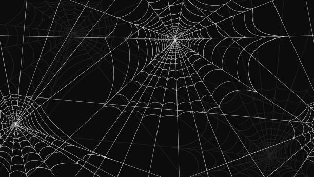 거미 웹 패턴이 원활합니다. 검은 색 배경에 흰색 거미 웹 도면. - 거미줄 stock illustrations