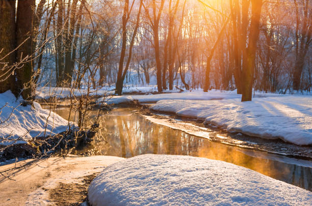 река, протекающая через заснеженный лес - winter sunset stream snow стоковые фото и изображения