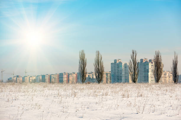 A snow-covered field with dry grass against the backdrop of large trees and a distant city in winter