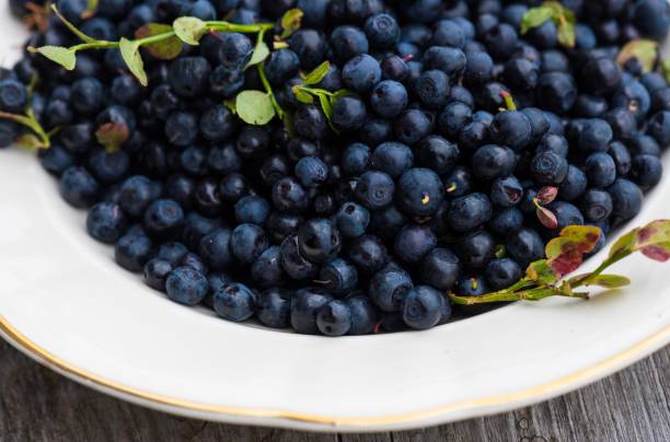 istock Close of Wild blueberries outside 1257816321