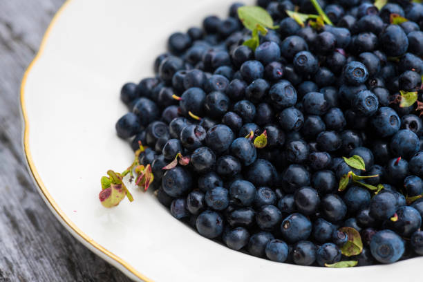 istock Close of Wild blueberries outside 1257816371