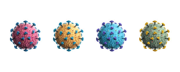 Four COVID-19 viruses in diffrent colors isolated on white background.