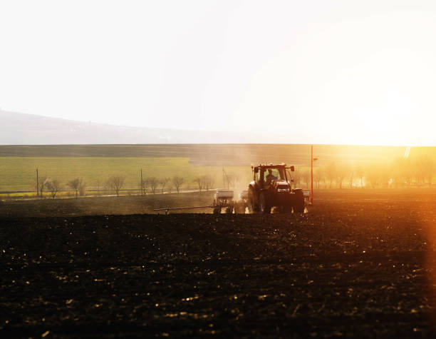 istock Farmer with tractor seeding sowing crops at agricultural fields in spring at sunset 1257819671