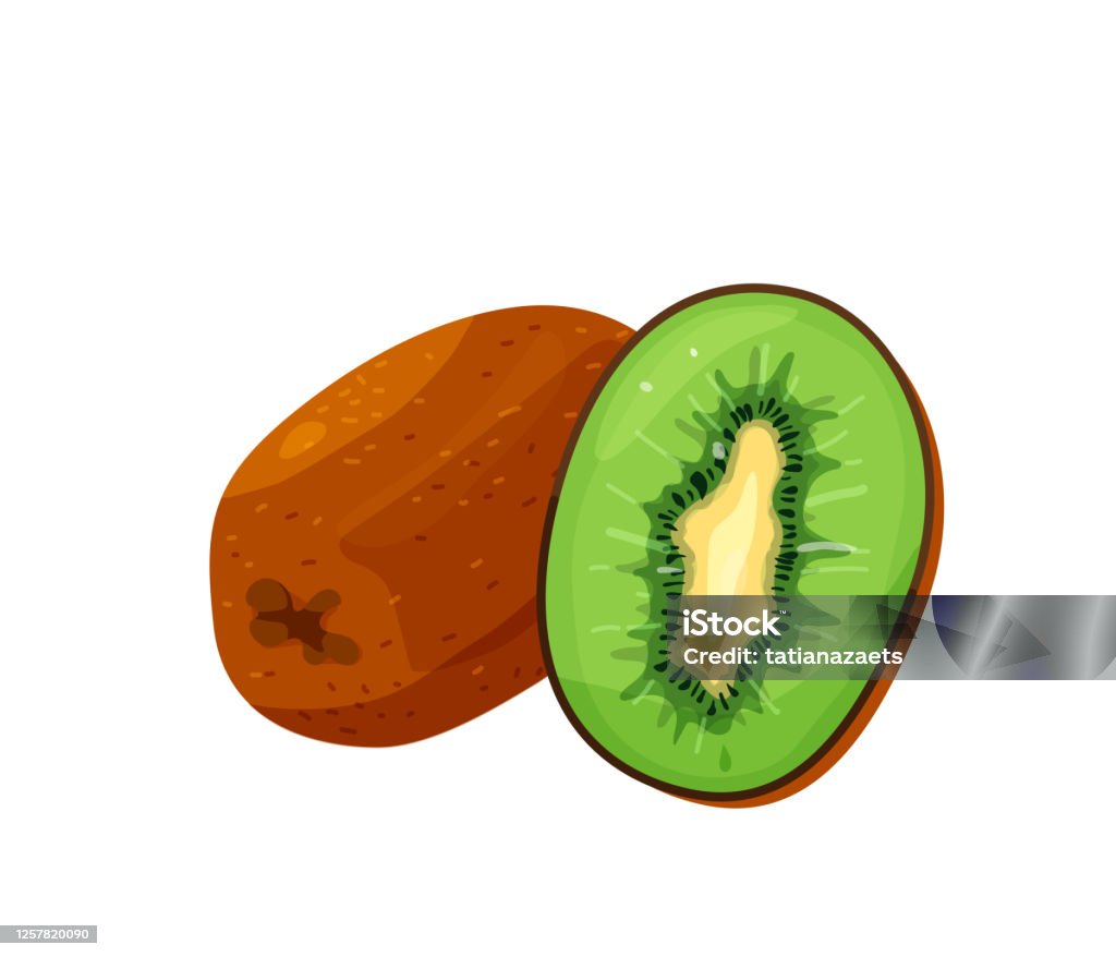 Vetores de Corte Verde Kiwi E Inteiro Em Cor Brilhante Estilo Apartamento Desenho Animado Isolado Em Fundo Branco Ilustração De Vetor De Alimentos Saudáveis Conceito De Refeição Orgânica e mais imagens de Vetores de Corte Verde Kiwi E Inteiro Em Cor Brilhante Estilo Apartamento Desenho Animado Isolado Em Fundo Branco Ilustração De Vetor De Alimentos Saudáveis Conceito De Refeição Orgânica e mais imagens de
