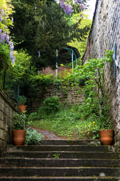 Scenery from Auvers Sur Oise, France Stone steps leading upwards with two pots on the stairs.  Stonework planted with flowers and plants.  Nice walking path from the locals and /or tourists. auvers sur oise photos stock pictures, royalty-free photos & images