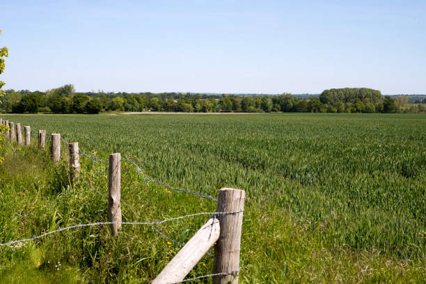 istock France landscape in Normandy with fence 1257821607