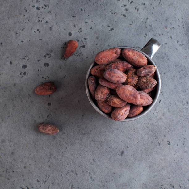 Cocoa beans in a metal mug on a gray background. Raw food, copy space.