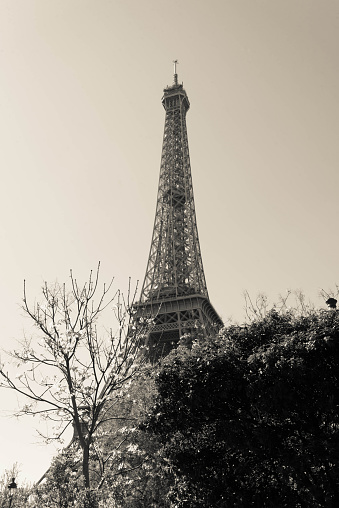 A conversion to grays of the Eiffel Tower.