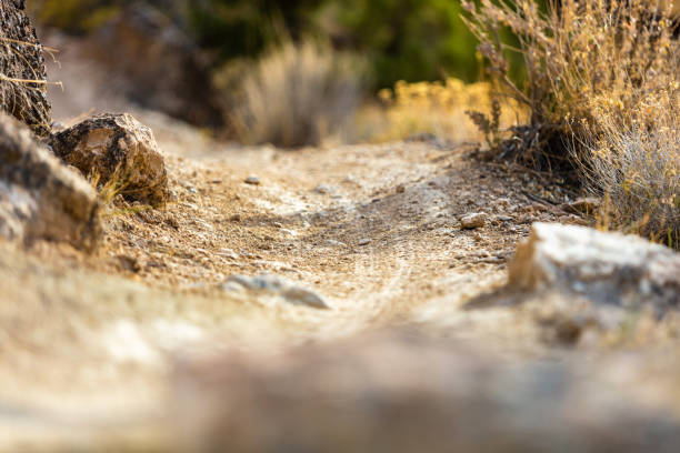 In Western Colorado Individual Focal Point on trail in background with rock in foreground blurred in Wilderness area in arid climate Stone Path. 4K Video Also Available for this Photo Series (Shot with Canon 5DS 50.6mp photos professionally retouched - Lightroom / Photoshop - original size 5792 x 8688 downsampled as needed for clarity and select focus used for dramatic effect)