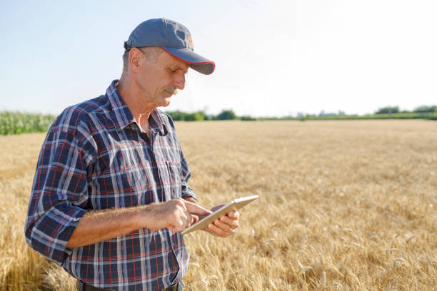 istock Mature farmer standing in the field and using digital tablet 1257824357