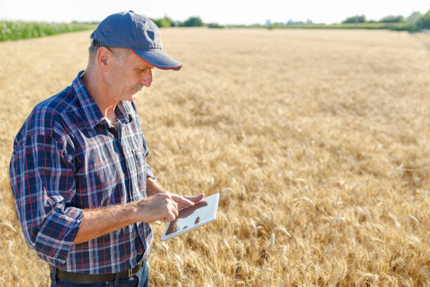 istock Farmer standing in the field and using digital tablet 1257824360