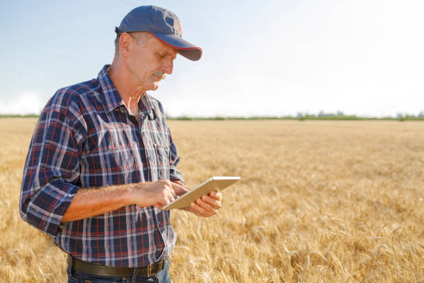 istock Old farmer standing in the field and using digital tablet 1257824361