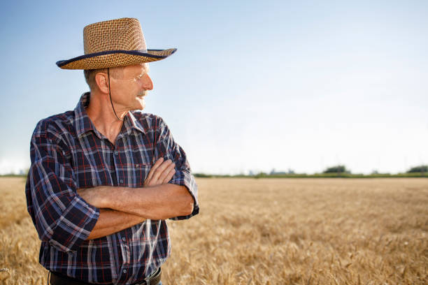istock Satisfied farmer observing his field of wheat 1257824376