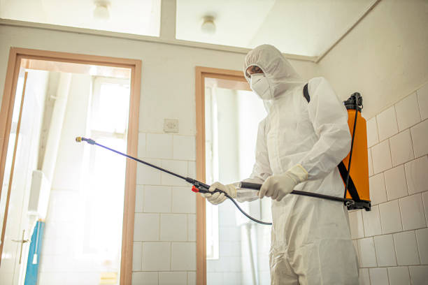 istock Man in a hazmat suit disinfecting an elementary school 1257826217