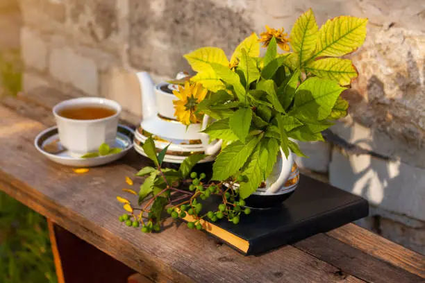Book, autumn leaves flowers, tea cup on wooden bench with green wild grape branch. Warm herbal drink. White porcelain tea-set. Hot brewed natural beverages on fresh air. Cozy fall weekend breakfast.