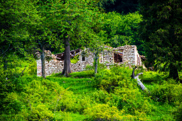 ruin of an abandoned and destroyed alpine stable in the woods of Monte Altissimo di Nago in Trento, Italy
