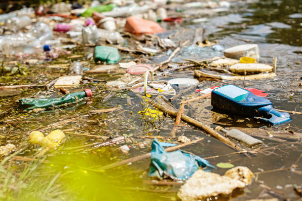 istock Garbage in the water stock photo 1257830983