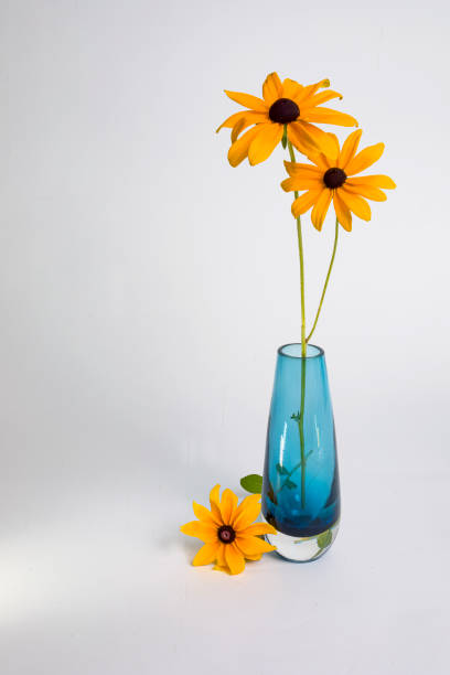 istock Black-eyed Susans with Blue Vase 1257831364