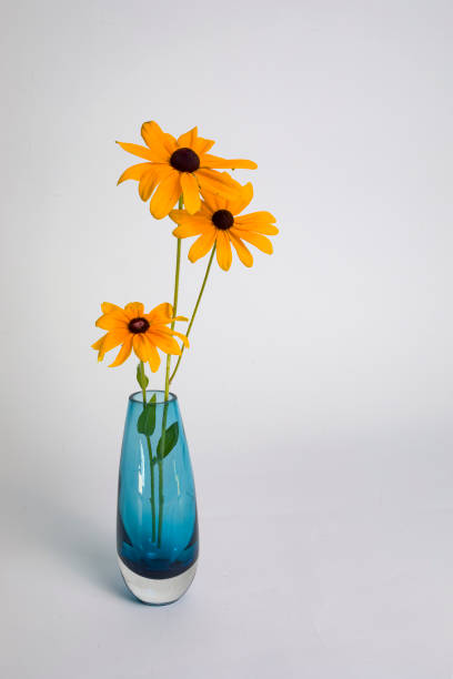 istock Blue Vase with Three Black-eyed Susans 1257831419