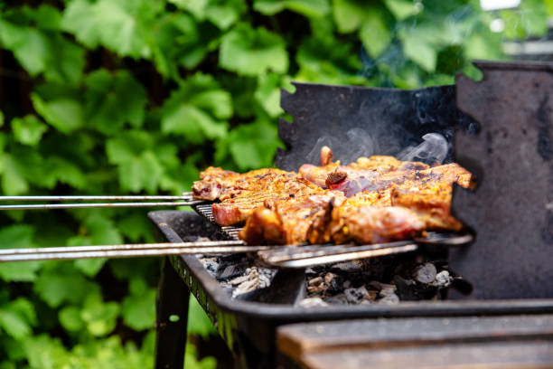 istock Preparing grilled food in the garden 1257832073