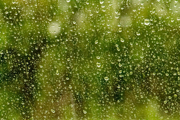 istock Background of rain droplets on glass 1257835868